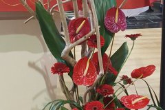 Messe radiodiffusée du 4 juin 2017