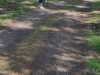IMG-20250505-WA0004